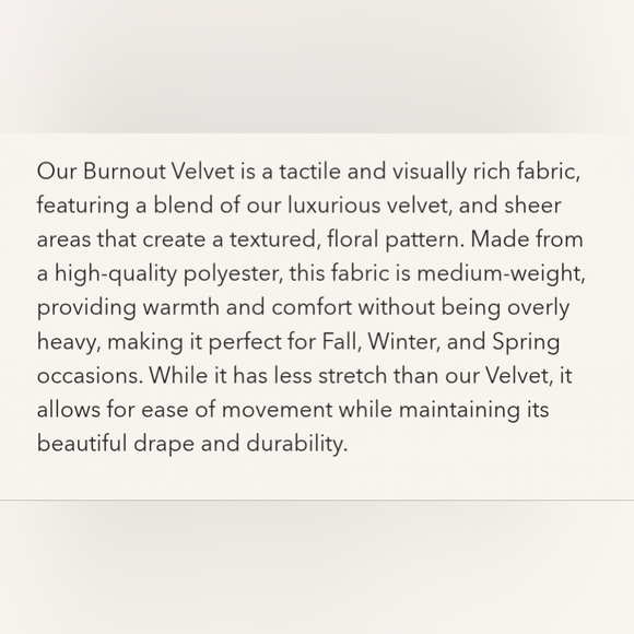 NEW Revelry Skye Floral Burnout Dress Velvet Maxi Cowl In Terracotta Size 0 - Picture 9 of 9